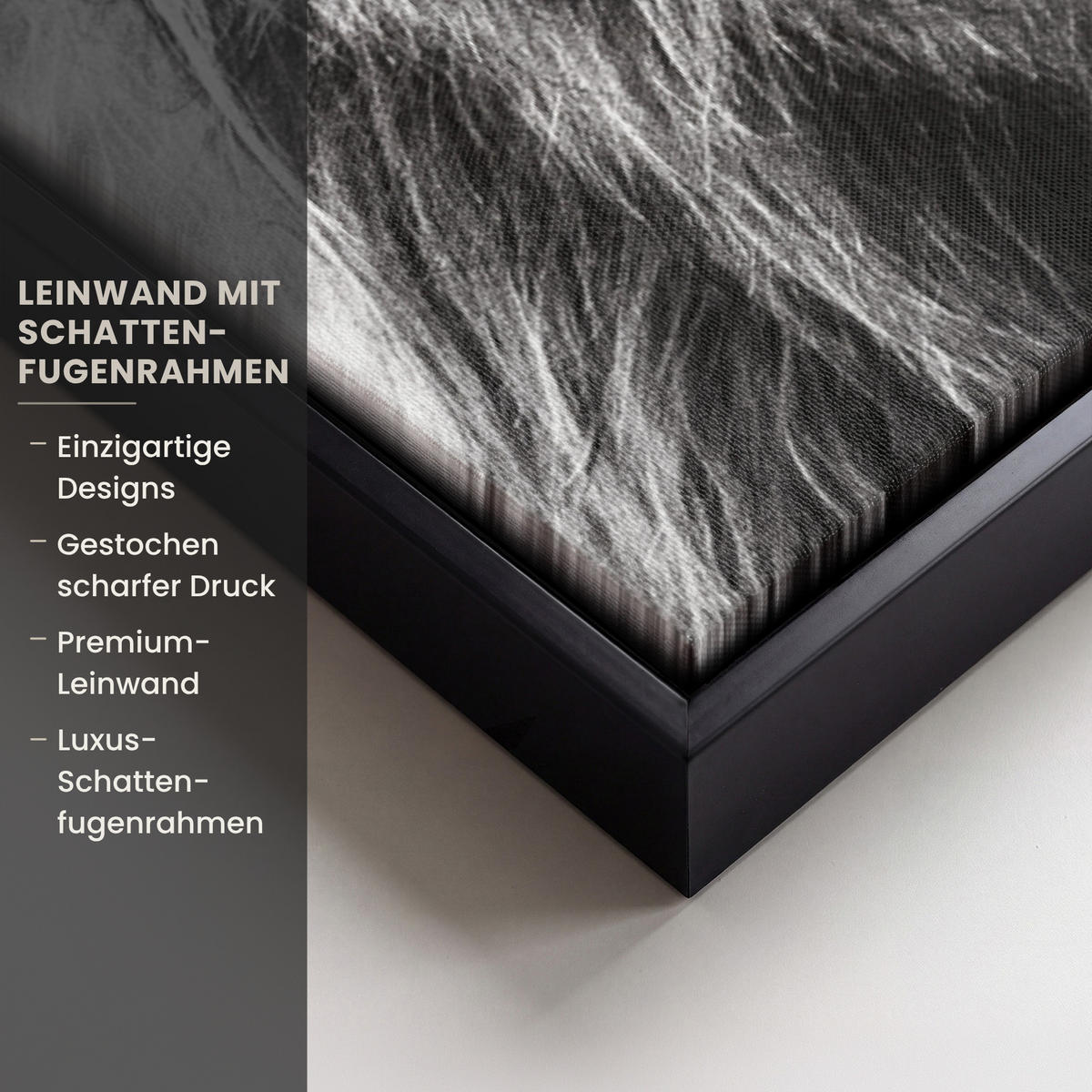 LEINWAND Bilder mit Rahmen - Kuh - Schottischer Hochländer - Schwarz - Weiß - Tier - Natur - Wildtiere - 40x60 - Schwarz, Textil (40/60cm) - MuchoWow
