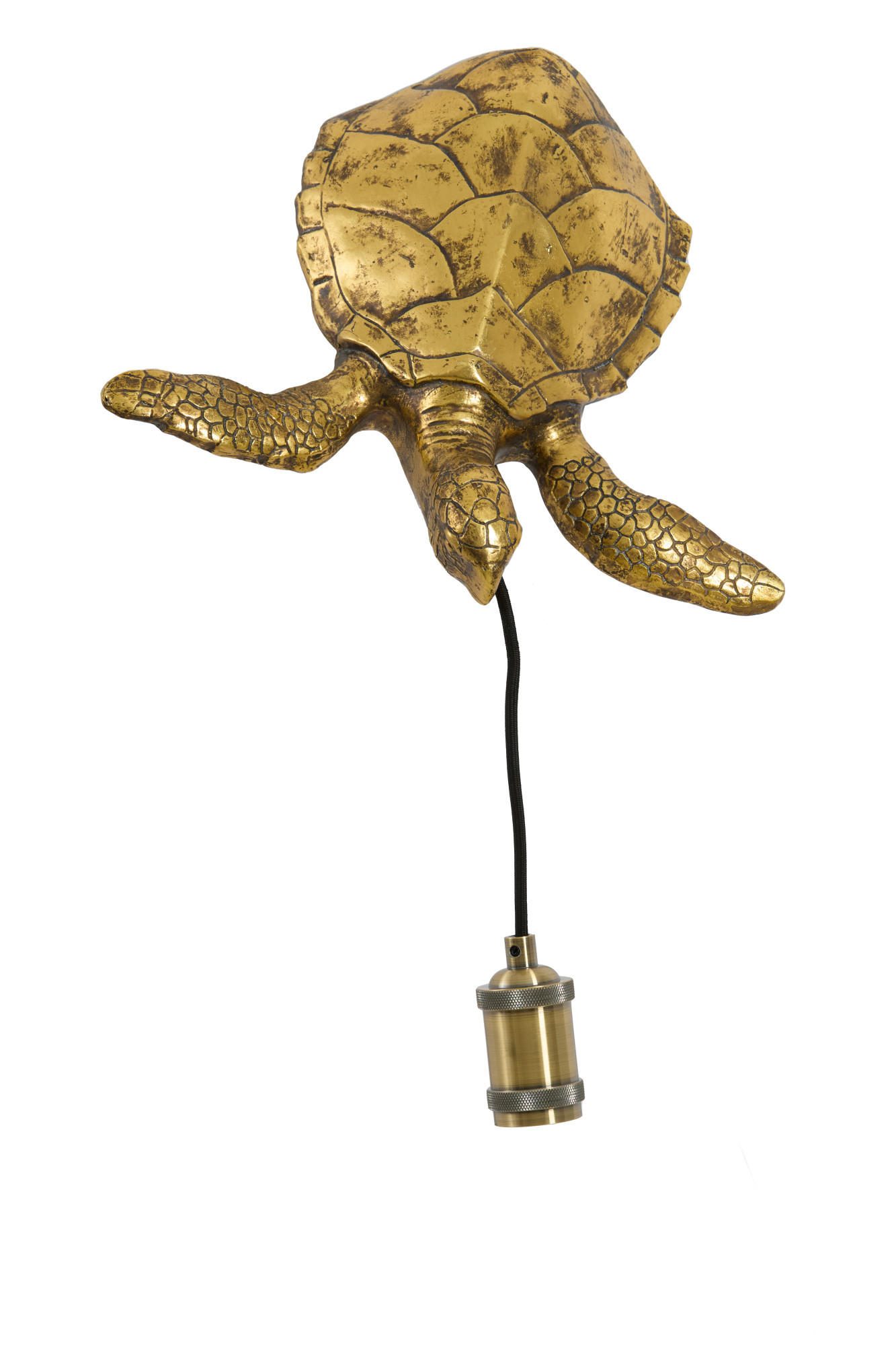 WANDLEUCHTE Schildkröte Bronze 35/26/20 cm - Bronzefarben, Kunststoff (26/20/35cm) - Light & Living