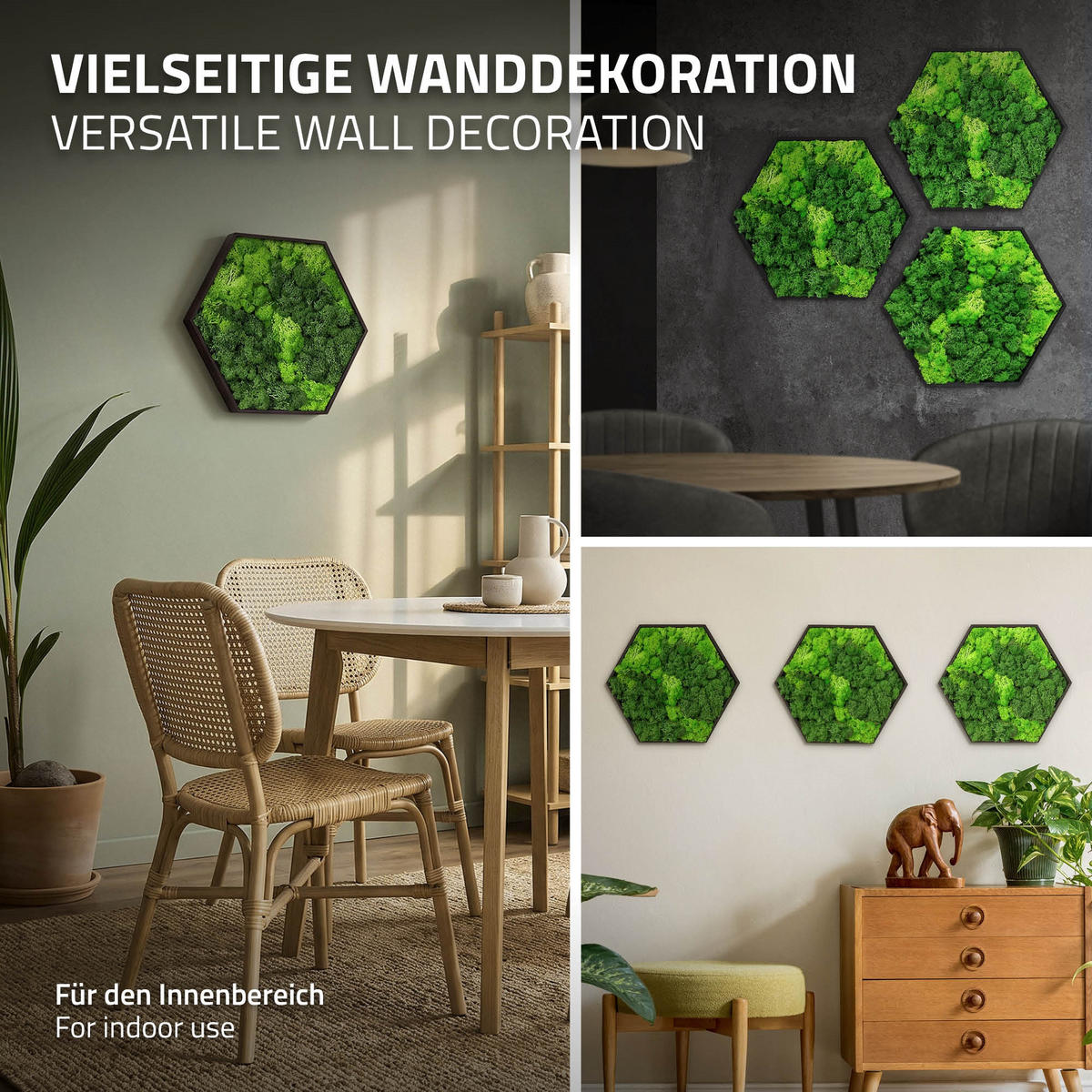 MOOSBILD Hexagon 38x34 cm Mooswand Indoor mit echtem Islandmoos und Holzrahmen Grün Pflegefrei - Hellgrün, Naturmaterialien (38/34/3.4cm) - ECD-Germany
