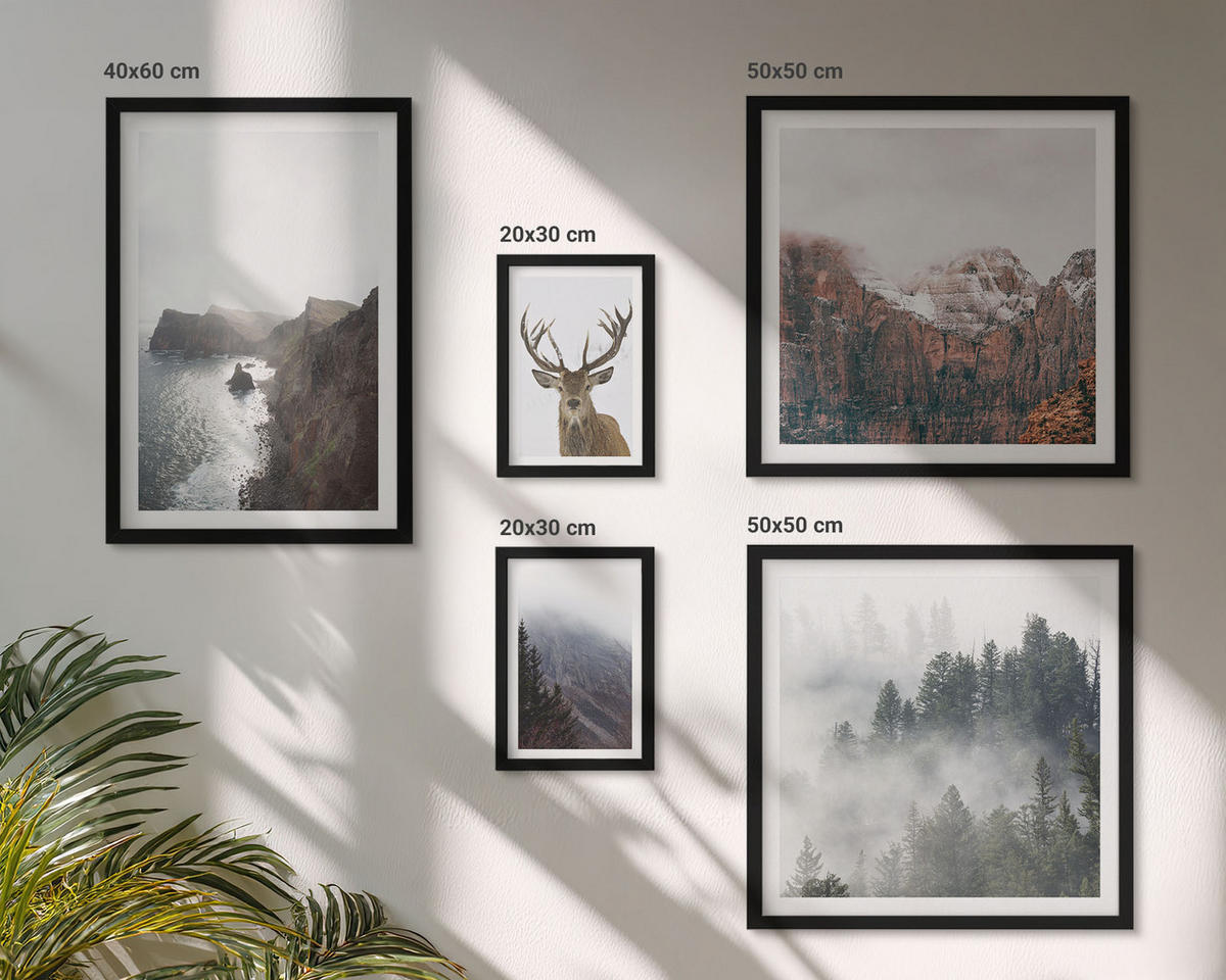 BILDER SET 5er Set - 50x50 cm & 20x30 cm & 40x60 cm Schwarzer Rahmen - Berglandschaft Nebel Hirsch - Schwarz, Kunststoff (40/60cm) - TULUP