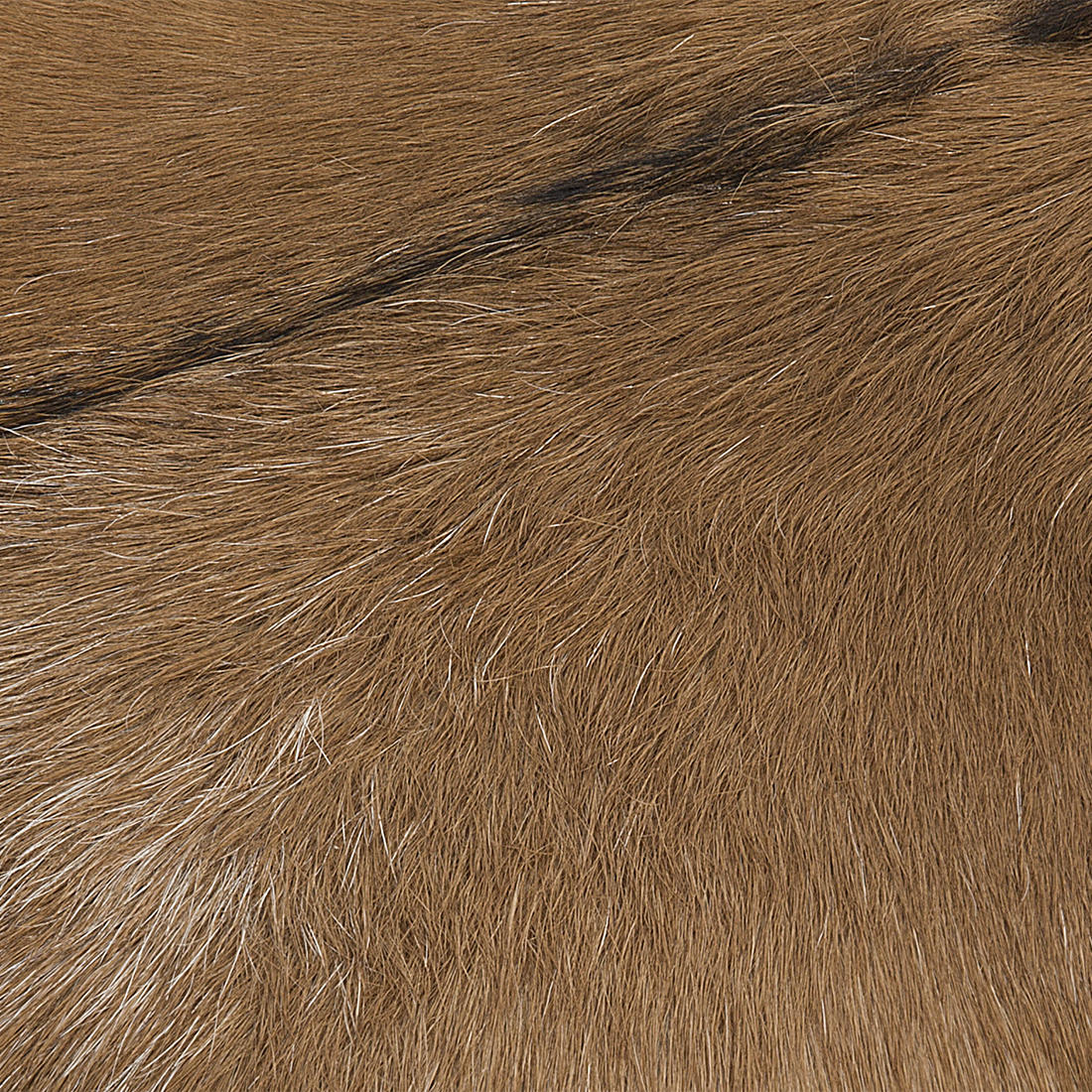 HOCKER Dalton 31/31/45 cm - Weiß, Leder (31/45/31cm) - Beliani