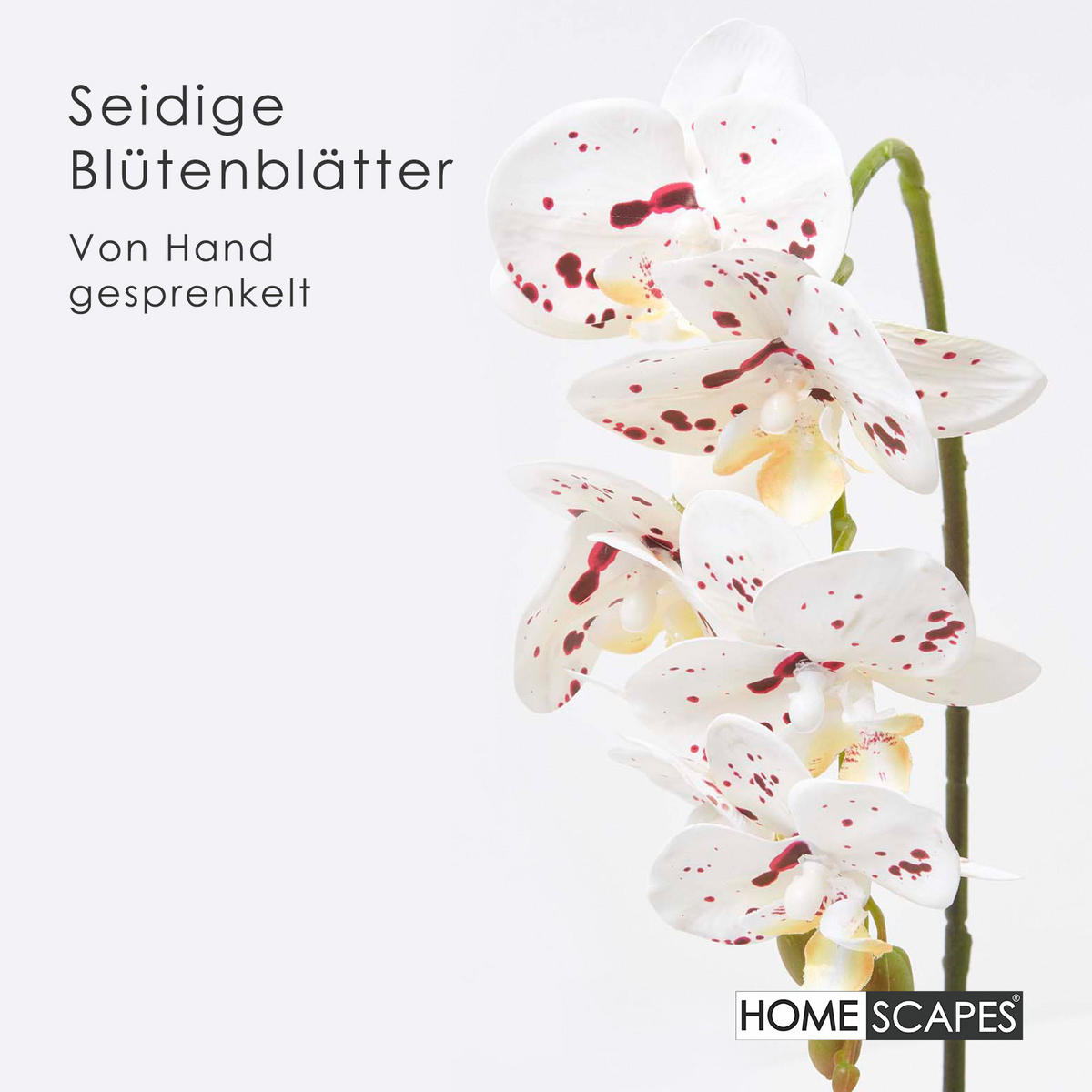 KUNSTBLUME Orchidee weiß-pink im Deko-Topf, 56 cm - Weiß, Kunststoff (56cm) - Homescapes