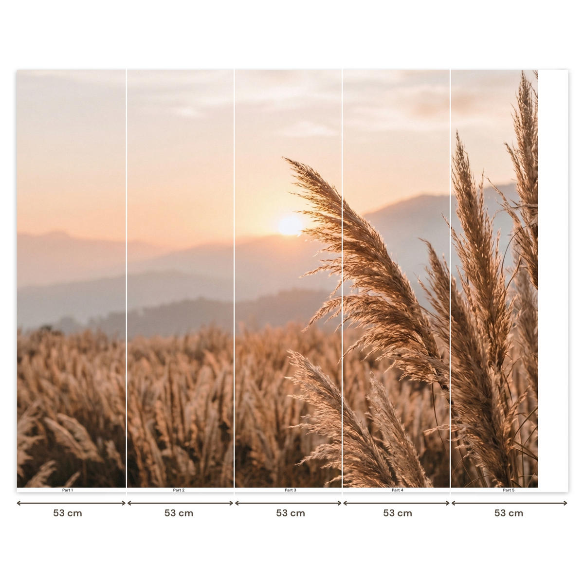 TAPETE - Gras - Feld - Sonne - Natur - 260x220 cm - Sandfarben, Papier (260/220cm) - OnlyWow