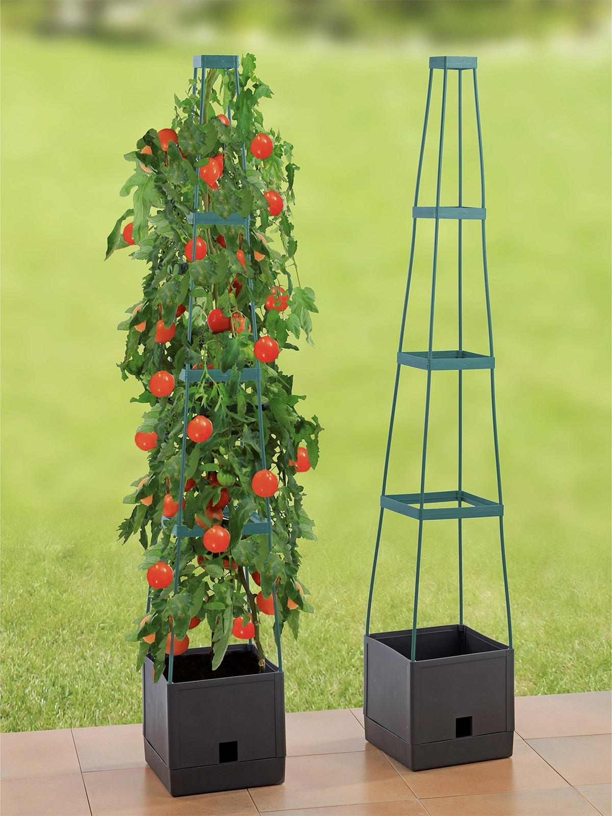 PFLANZENTOPF mit Tomatenstütze 150 cm - Schwarz, Kunststoff (25/25/150cm) - Maximex