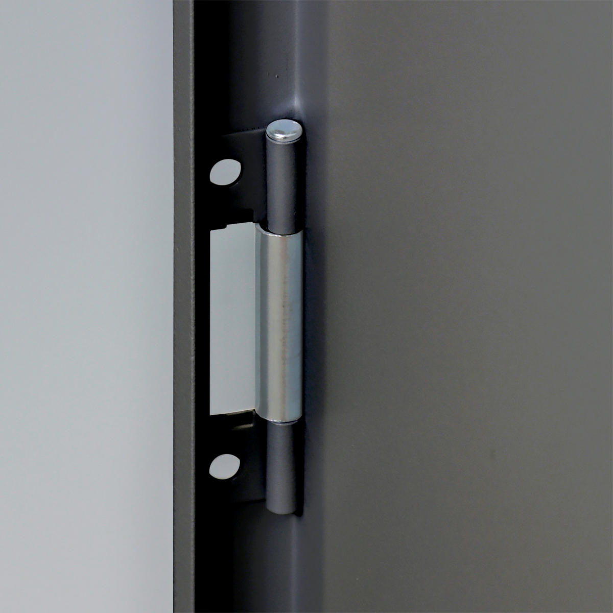 FLÜGELTÜRSCHRANK Owl mit 4 Fachboden 195x95x60cm Lichtgrau/Anthrazitgrau - Anthrazit, Metall (95/195/60cm) - PROREGAL