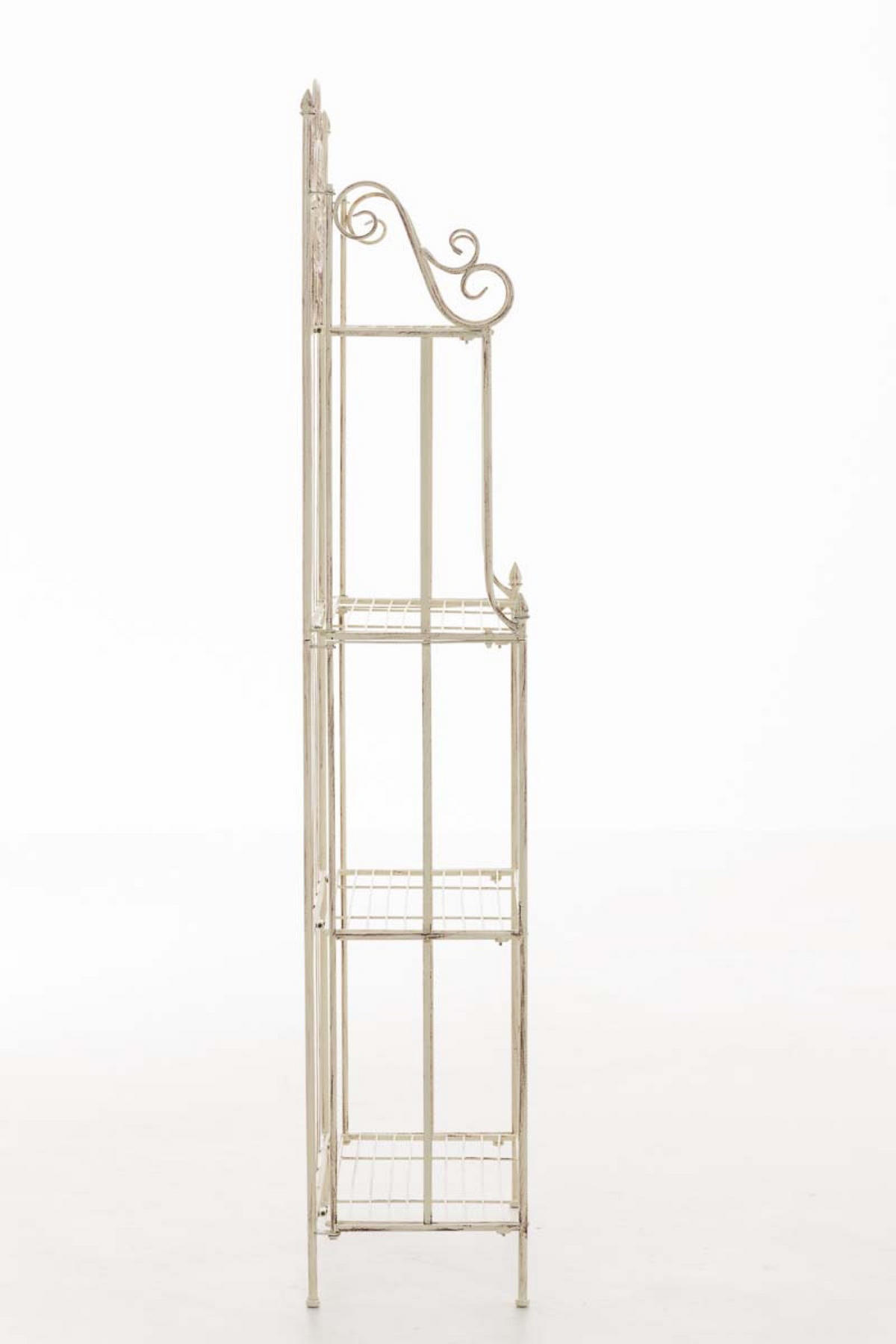 STANDREGAL Florenz antik-creme - Naturfarben, Metall (66/175/32cm) - TPFGarden