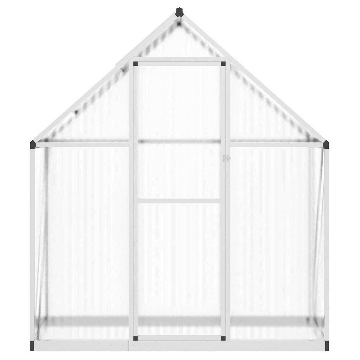 GEWÄCHSHAUS mit Fundamentrahmen Silbern 169x58x195cm Aluminimum - Silberfarben, Metall (58/195/169cm)