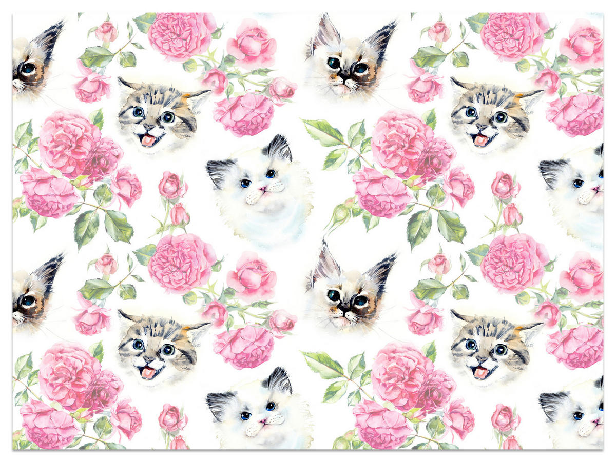 FOTOTAPETE für Badezimmer Kätzchen Rosen Blumen 100x70 - Beige/Rosa, Papier (100/70cm) - Muralo