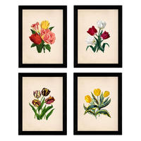 POSTER Set mit 4 Botanische Papier Hintergrund Tulpen A3 Rahmenlos - Klar, Papier (29.7/3cm) - Nacnic