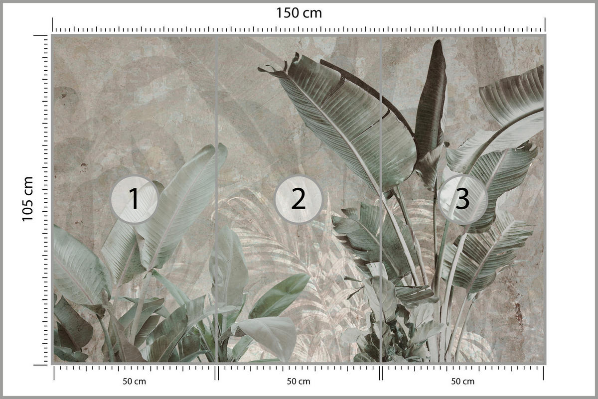 FOTOTAPETE für Büro Beton Bananenblätter Abstrakt Pflanzen Vintage 150x105 - Beige/Braun, Papier (150/105cm) - Muralo
