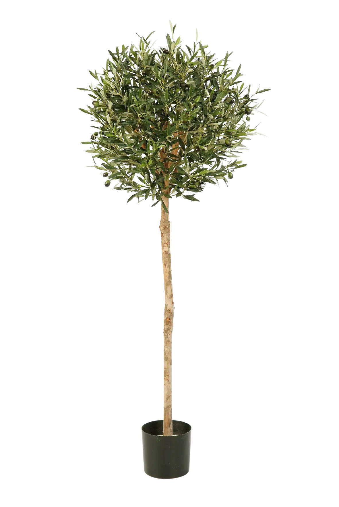 KUNSTBAUM Künstlicher Olivenbaum - Isa 140 cm - Grün, Kunststoff (140cm) - aplanta