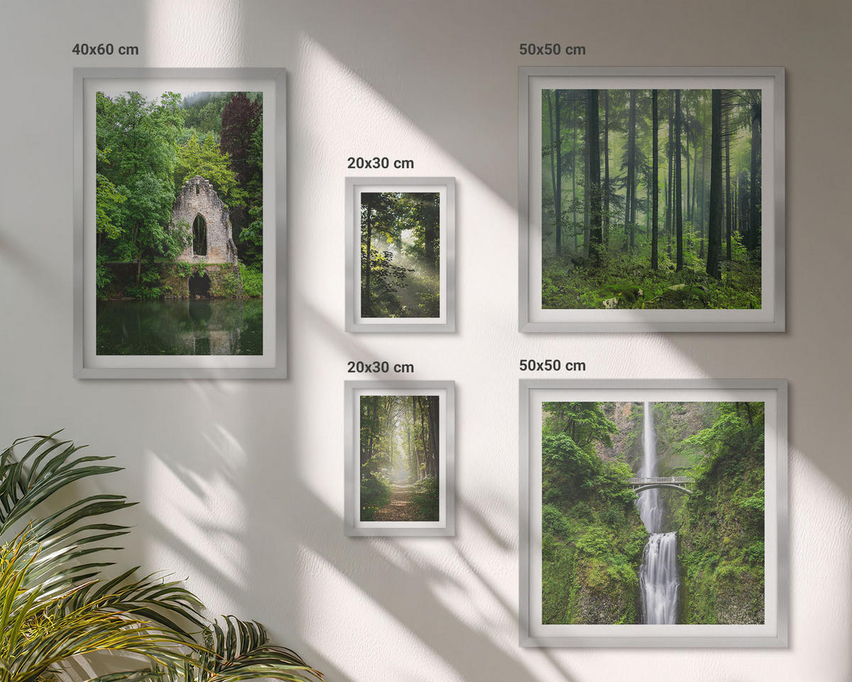 WANDBILDER 5er Set - 50x50 cm & 20x30 cm & 40x60 cm Silberner Rahmen - Grüne Wälder, Lichtstrahlen - Silberfarben, Kunststoff (40/60cm) - ArtPrintCave