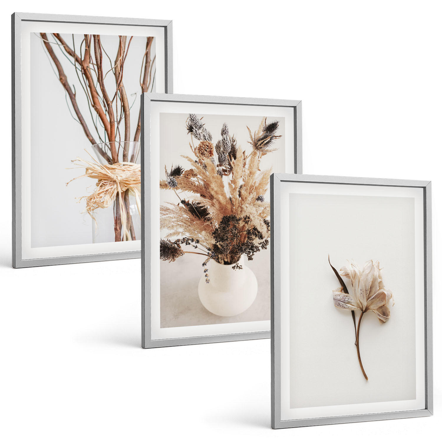 BILDER SET 3er Set - 40x60 cm Silberner Rahmen - Blumenzweige minimalistisch - Silberfarben, Kunststoff (40/60cm) - TULUP