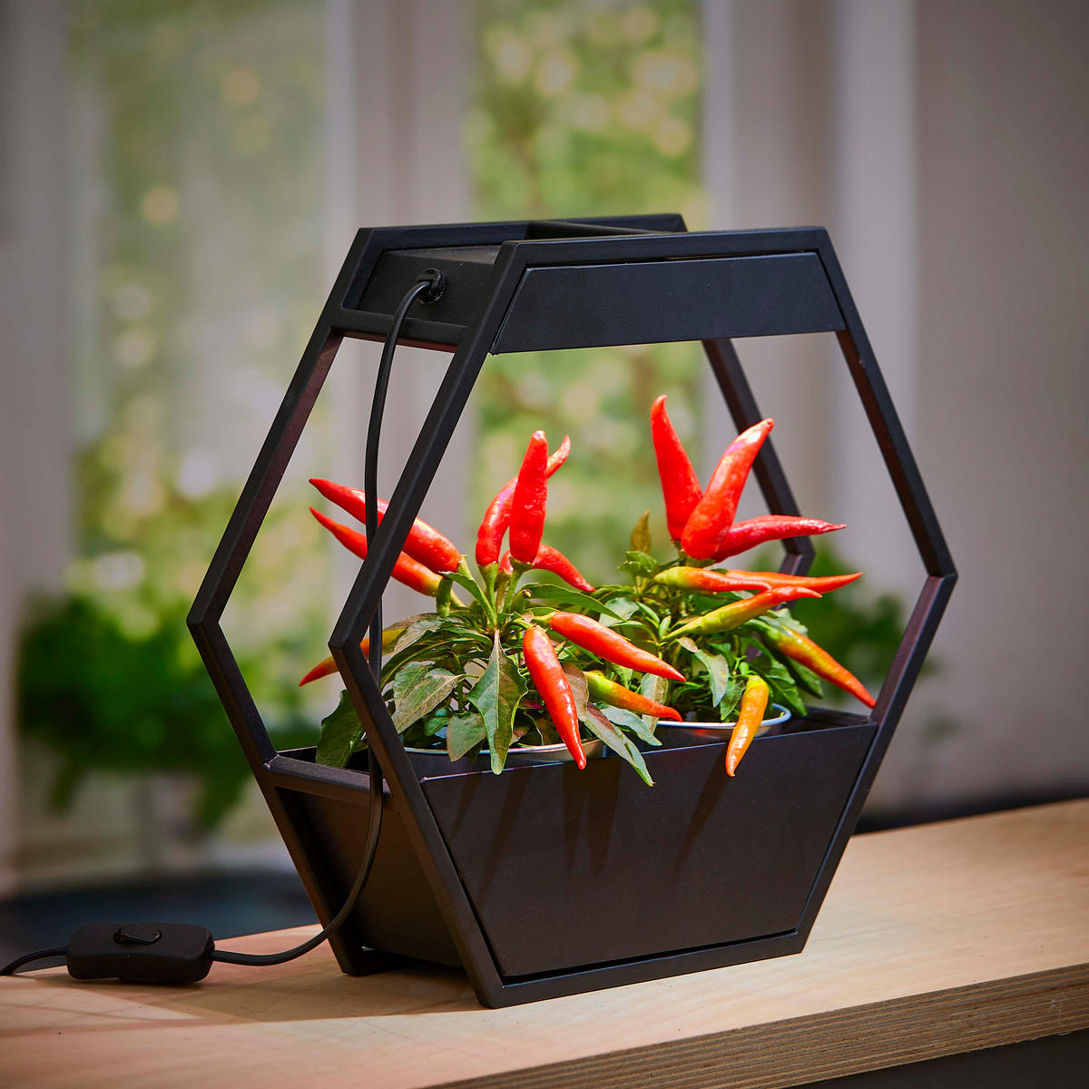 LED-PFLANZENLAMPE - Metallgestell im Industrial-Look mit Timer für Kräutergarten und Innengarten - Schwarz, Metall (37.6/32.5/10cm) - Northpoint