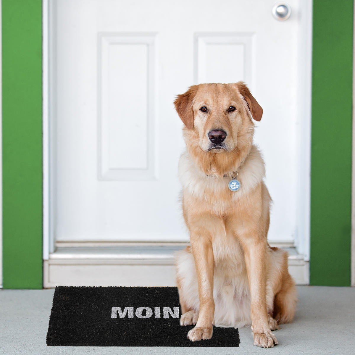 FUSSMATTE - Schwarz, Kunststoff/Textil (60/40cm) - Relaxdays