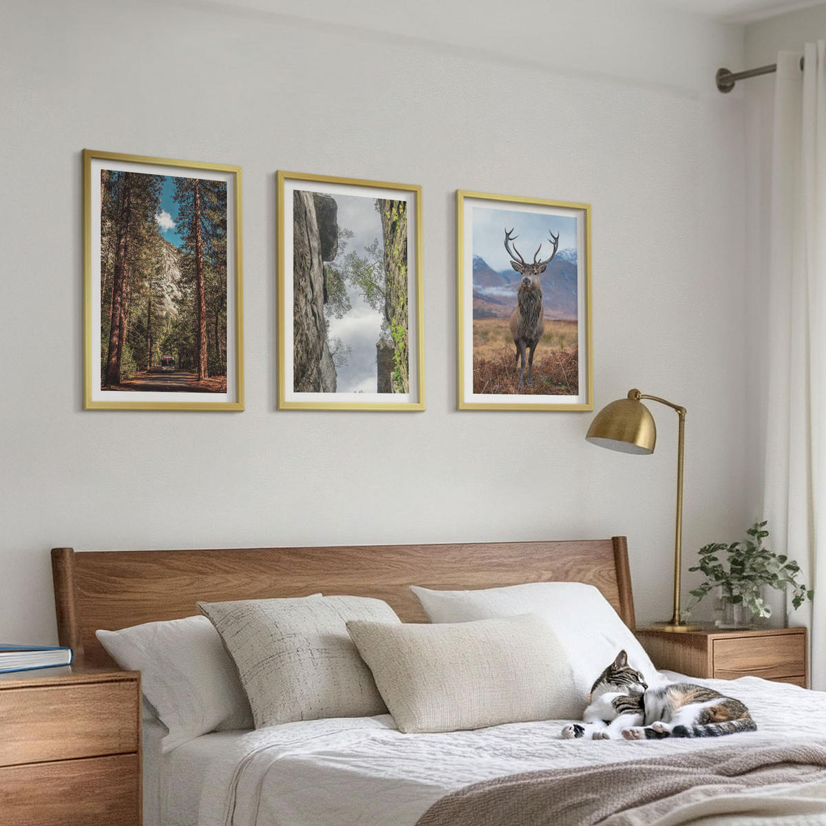 WANDBILDER 3er Set - 40x60 cm Goldrahmen - Straße Wald Berge Hirsch Natur - Goldfarben, Kunststoff (40/60cm) - ArtPrintCave