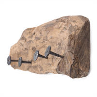WANDGARDEROBE TREIBHOLZ 50 Massivholz naturfarben - Naturfarben, Holz (50/12/8cm) - DESIGN DELIGHTS