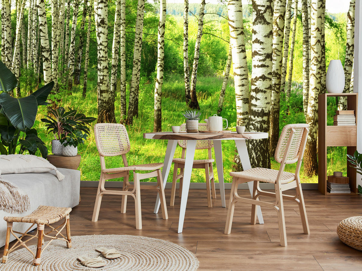 FOTOTAPETE für Esszimmer Birkenwald Bäume Natur 3D 100x70 - Schwarz/Braun, Papier (100/70cm) - Muralo