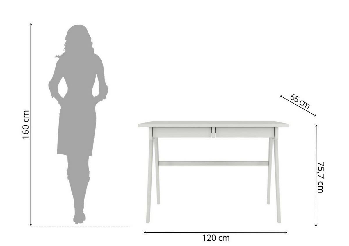 SCHREIBTISCH Edda, 120/65/75 cm in Pastellgrau, Buchenholz - Hellgrau, Holz/Buchenholz (65/120/75.5cm) - Visby