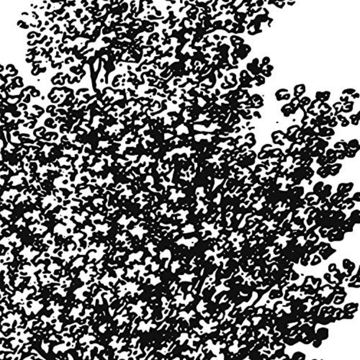 POSTER Set mit 4 Blättern der Obstbäume ohne, weiß 30x30 cm Rahmenlos - Klar, Papier (30/3cm) - Nacnic