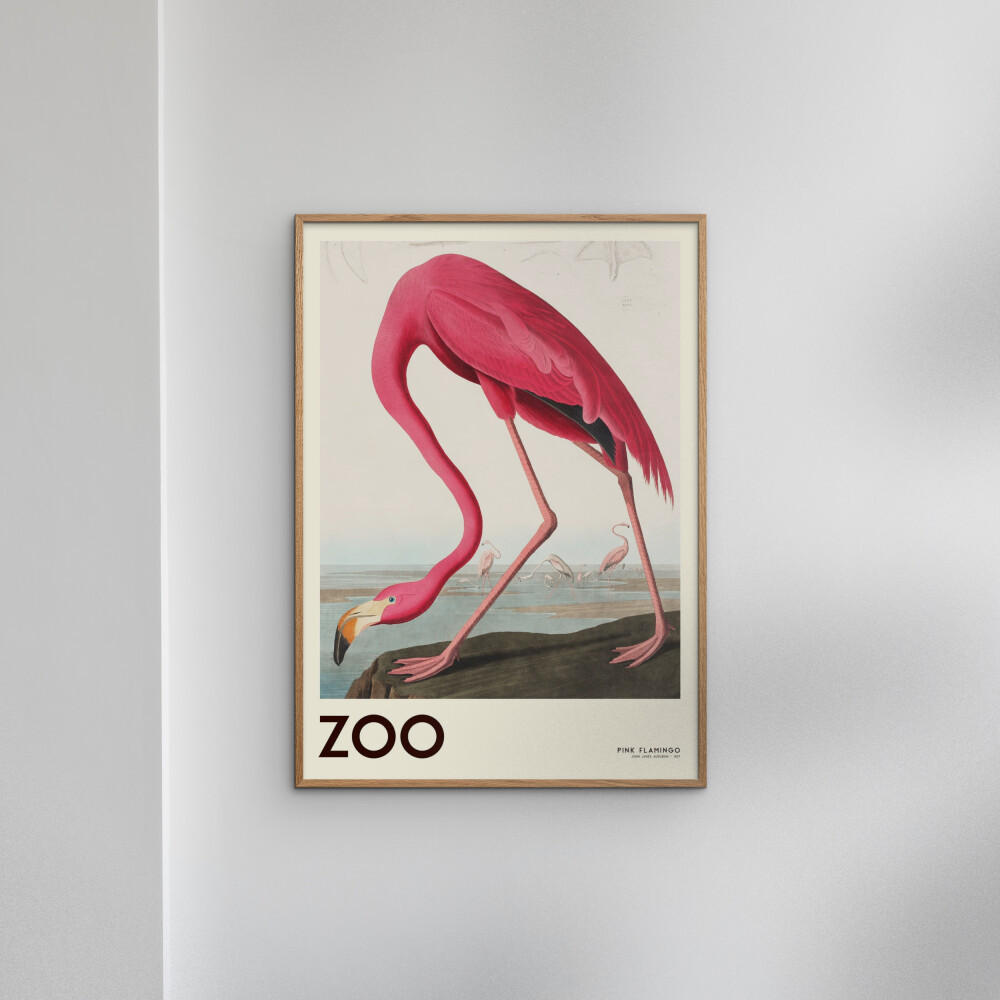 POSTER A.P. Atelier - The Zoo Collection — Pink Flamingo — Edt. 001 - Pink, Papier (30/40/0.1cm) - Poster&Frame