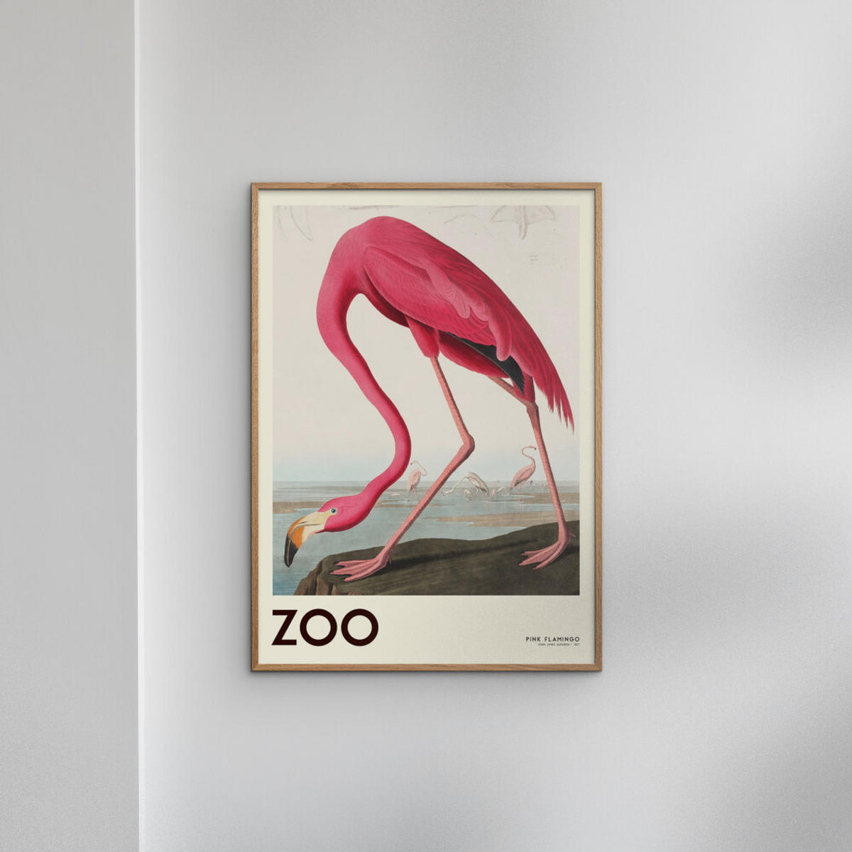 POSTER A.P. Atelier - The Zoo Collection — Pink Flamingo — Edt. 001 - Pink, Papier (30/40/0.1cm) - Poster&Frame
