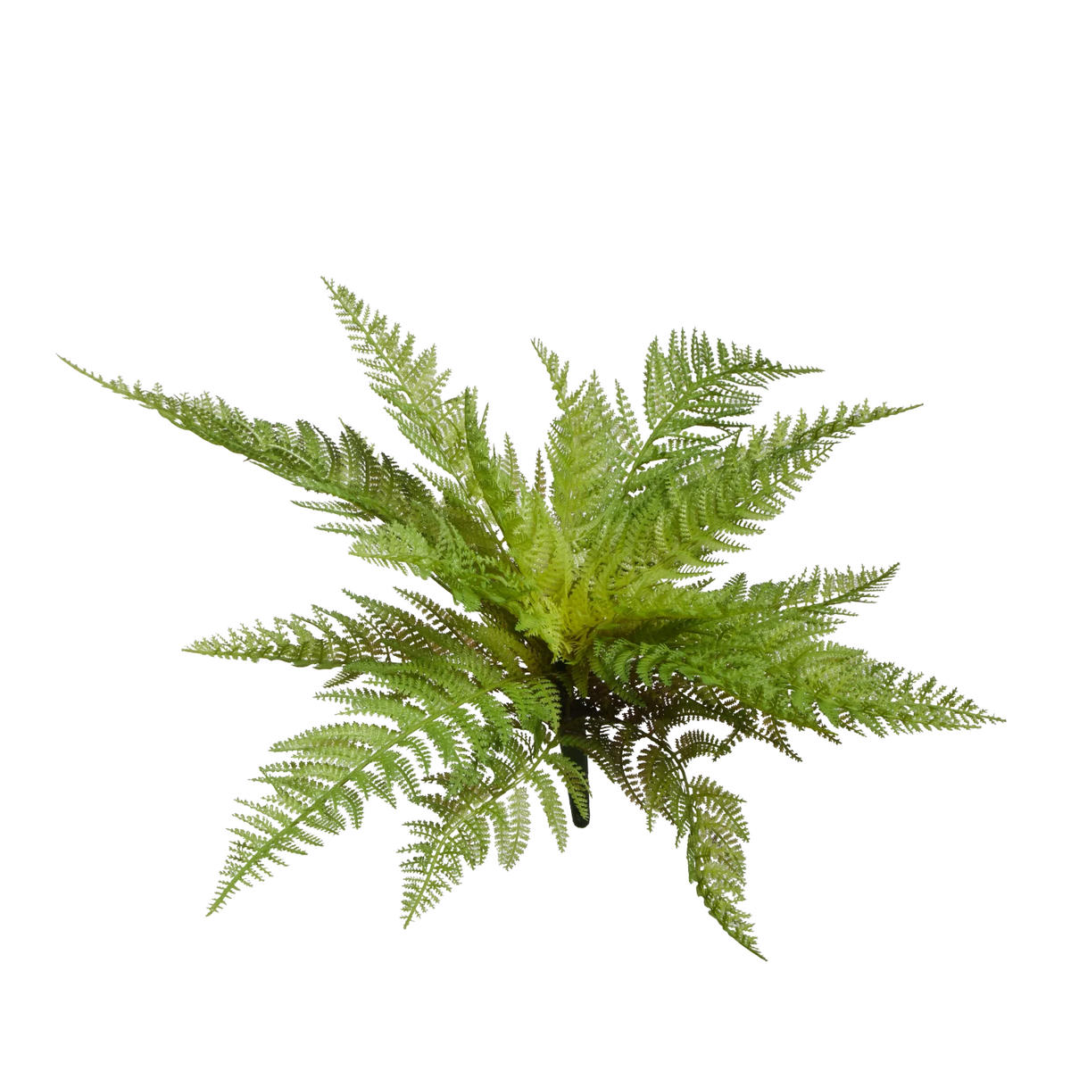 KUNSTPFLANZE Künstlicher Frauenfarn - Jupi 47 cm - Grün, Kunststoff (47cm) - aplanta