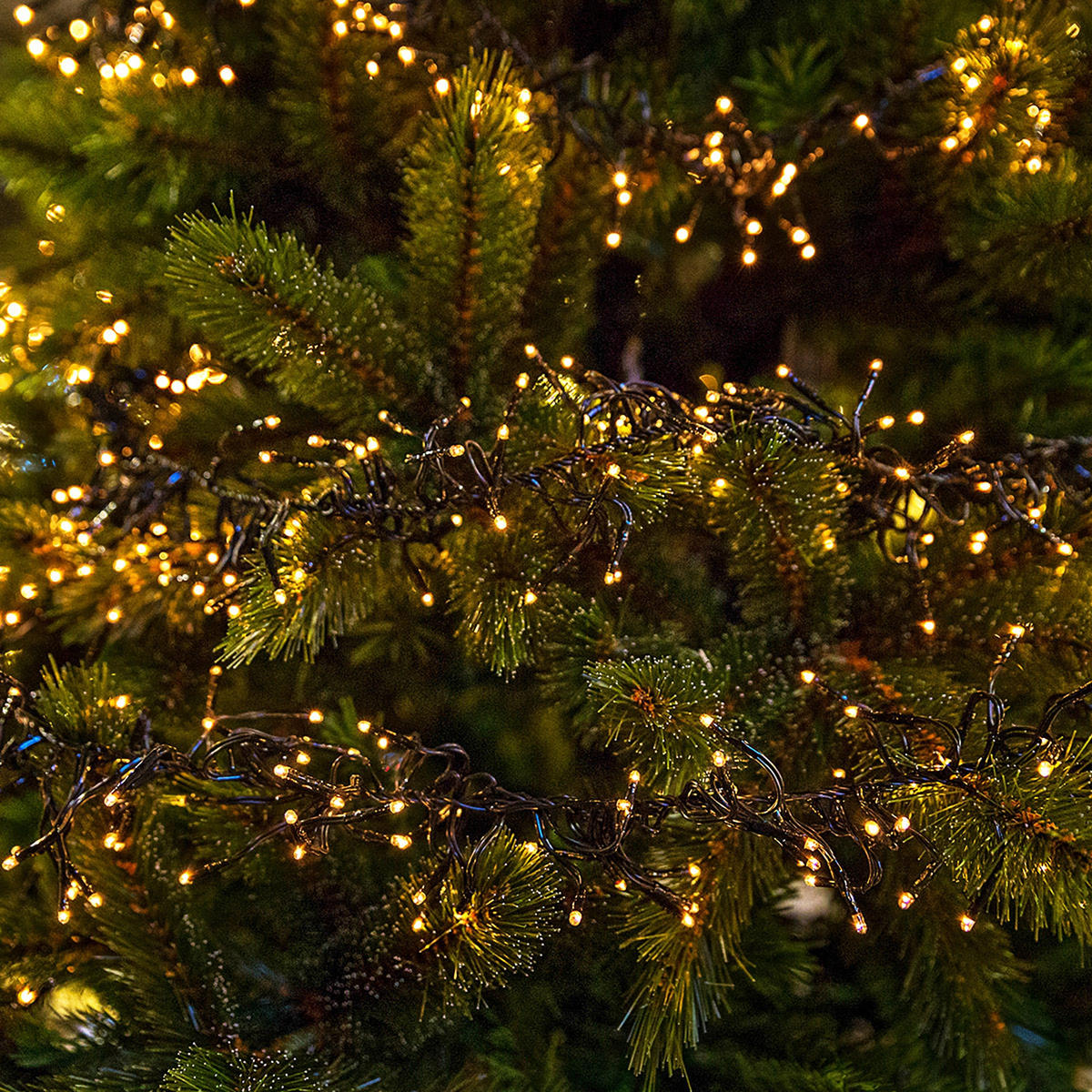LED Lichterkette 11m Warmweiß - Schwarz, Kunststoff (1400cm) - ECD-Germany