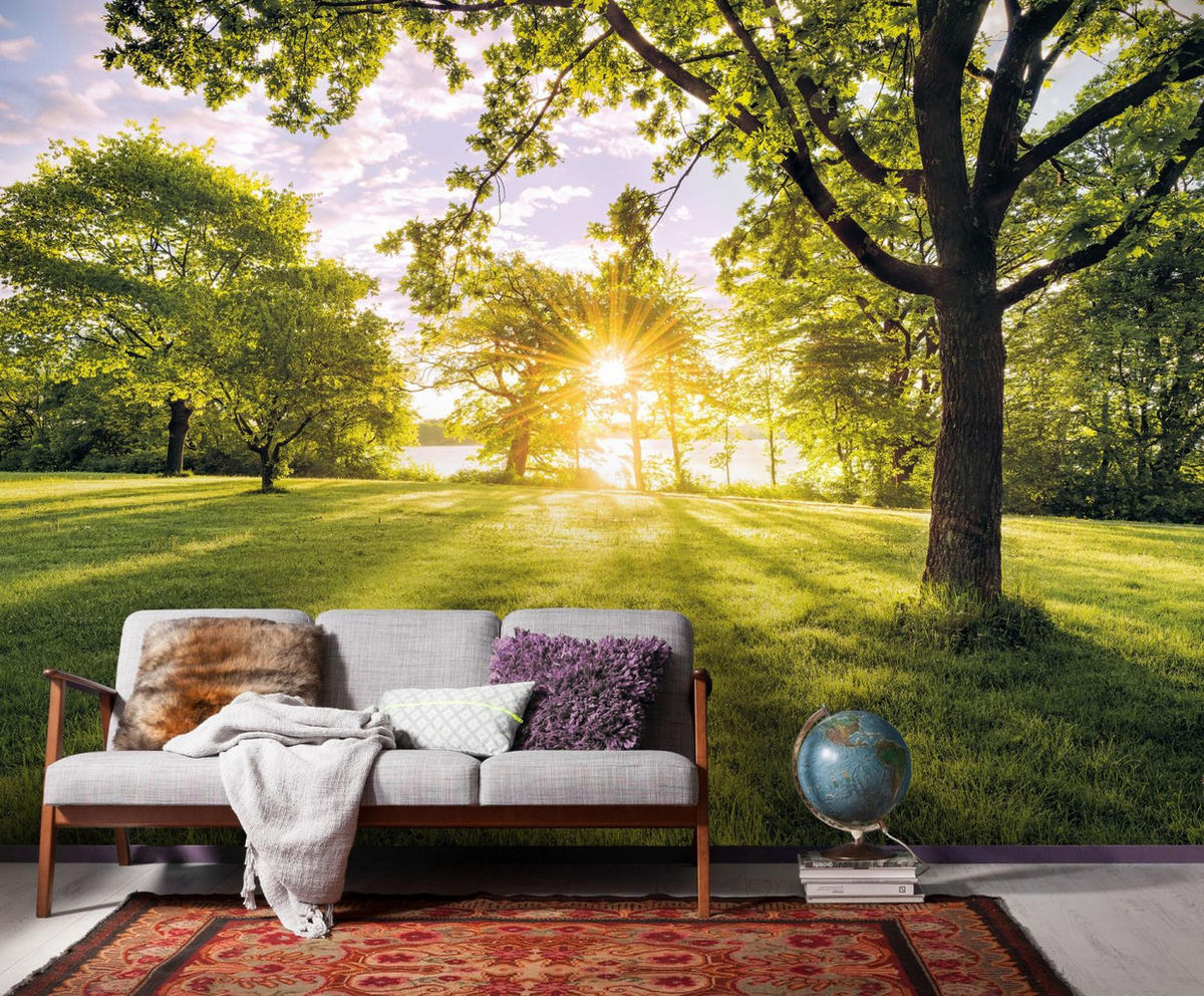 FOTOTAPETE bewaldete Landschaft 400 x 250 cm - Grün, Papier (400/250cm) - Sanders & Sanders