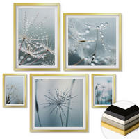 WANDBILDER 5er Set - 50x50 cm & 20x30 cm & 40x60 cm Goldrahmen - Tautropfen auf Löwenzahn - Goldfarben, Kunststoff (40/60cm) - ArtPrintCave