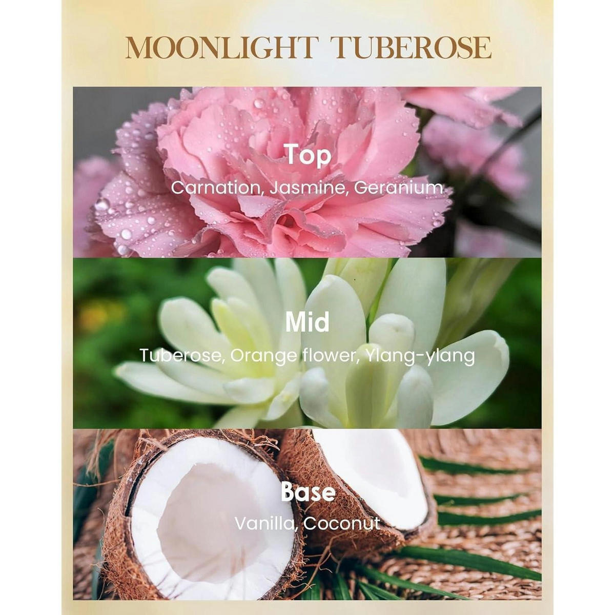 DUFTKERZE Moonlight Tuberose 3 Dochte 990g 150 Stunden Brenndauer - Multicolor, Paraffin (16cm)
