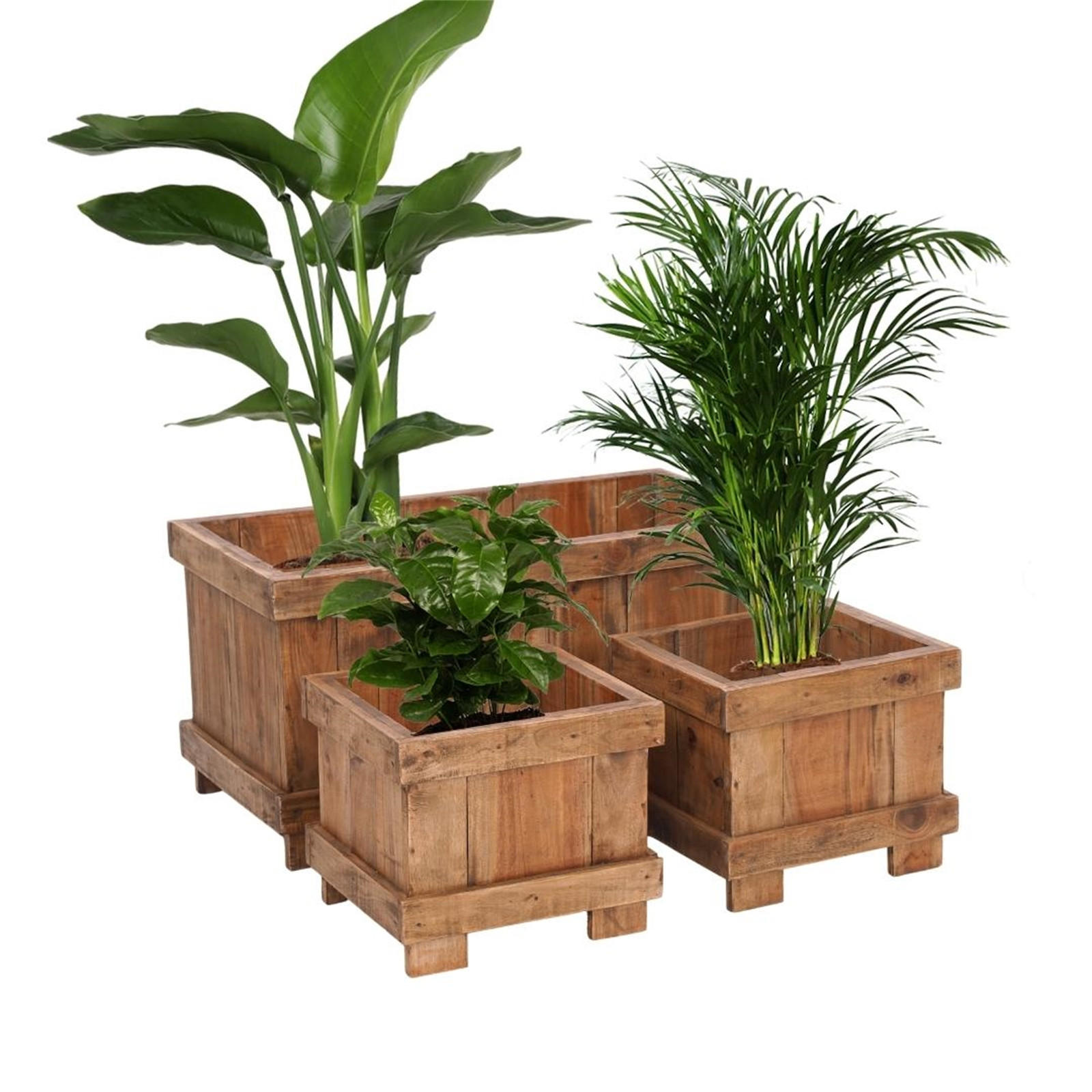 ÜBERTOPF-SET Malva 3-tlg. Massivholz, verschiedene Größen naturfarben - Naturfarben, Holz (80/40/40cm) - DESIGN DELIGHTS