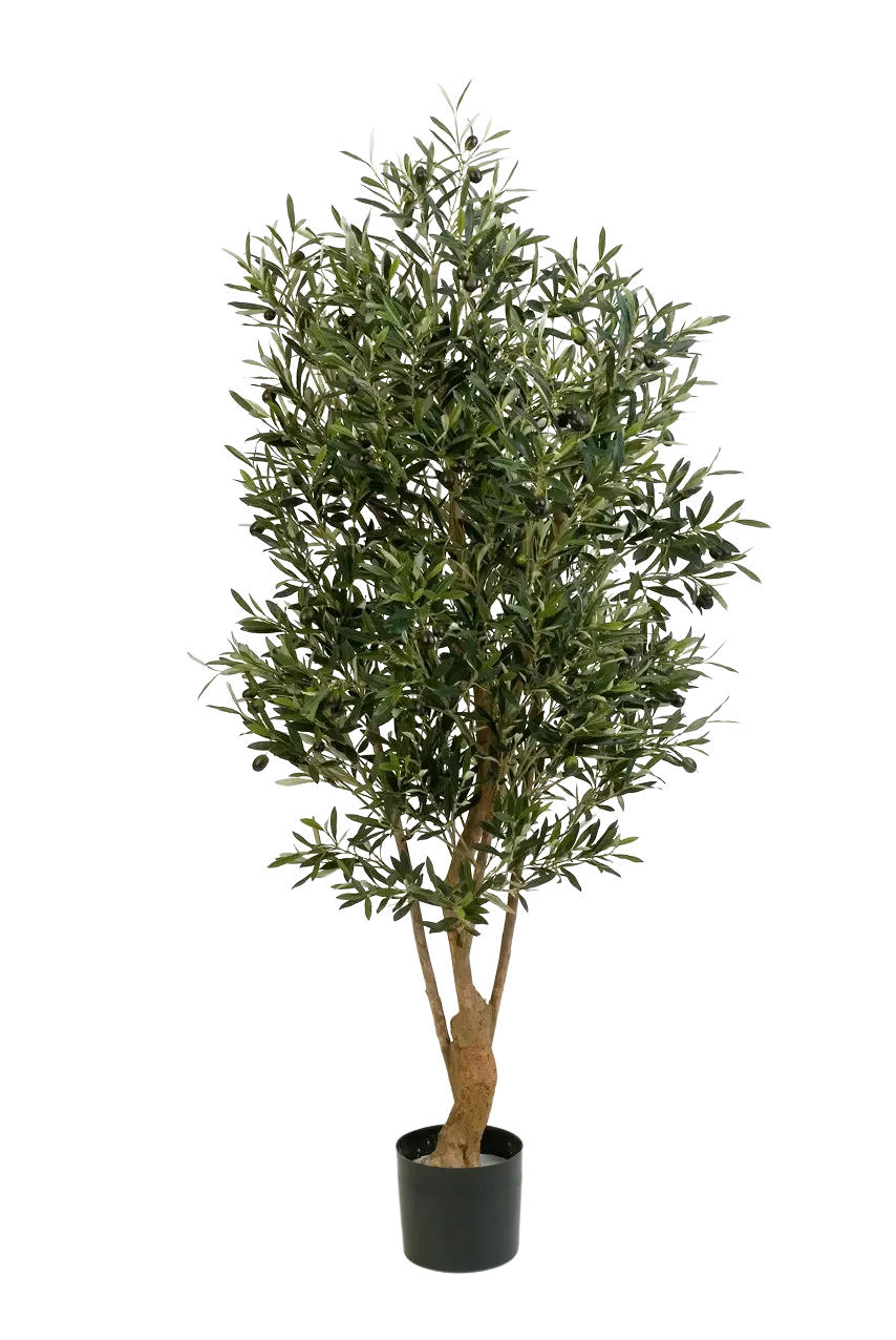 KUNSTBAUM Künstlicher Olivenbaum - Ian 150 cm - Grün, Kunststoff (150cm) - aplanta