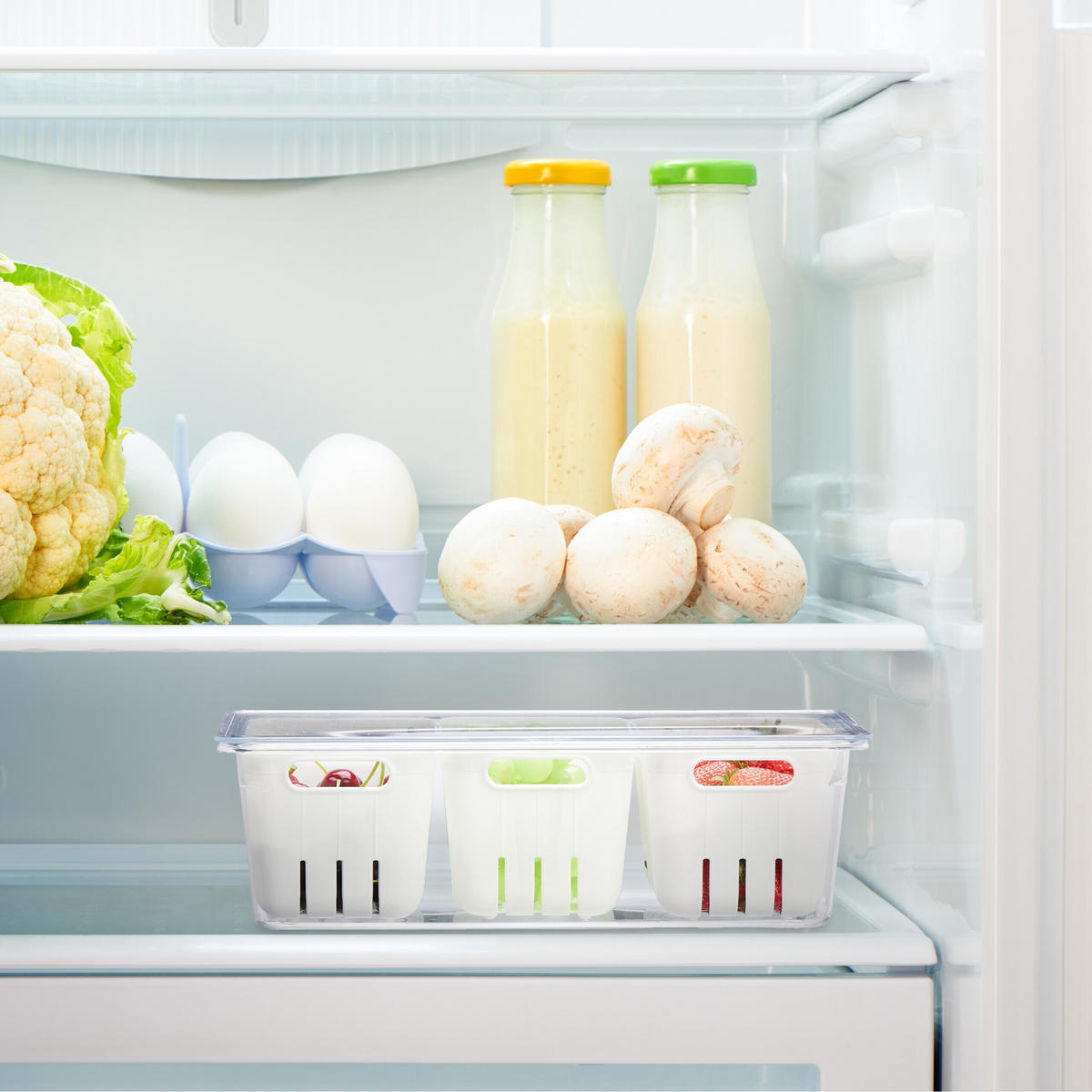4XORGANIZÉR do chladničky - různobarevná, plast (32/10/17.5cm) - Relaxdays