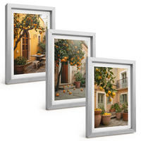 BILDER SET 3er Set - 20x30 cm Silberner Rahmen - Garten-Zitrus-Sonne - Silberfarben, Kunststoff (20/30cm) - TULUP