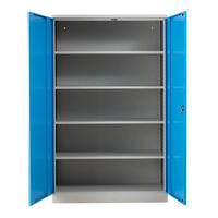 STAHLSCHRANK Bee mit 4 lackierten Fachböden 195x120x50 cm Korpusfarbe Lichtgrau Frontfarbe Lichtblau - Hellblau, Metall (120/195/50cm)