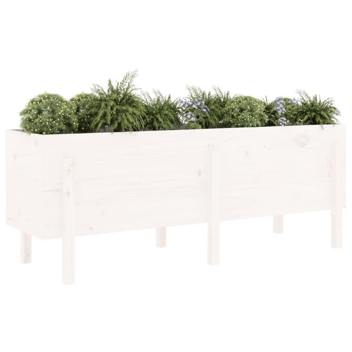 HOCHBEET Weiß 160x50x57 cm Massivholz Kiefer - Weiß, Holz (50/57/160cm) - furnicato