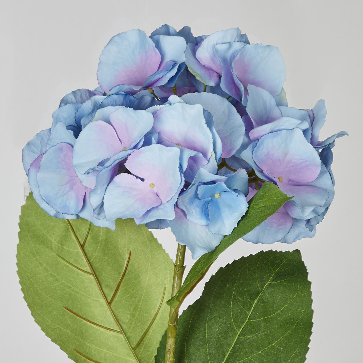 KUNSTBLUME Florista Hortensie - Violett, Kunststoff (62cm) - BUTLERS