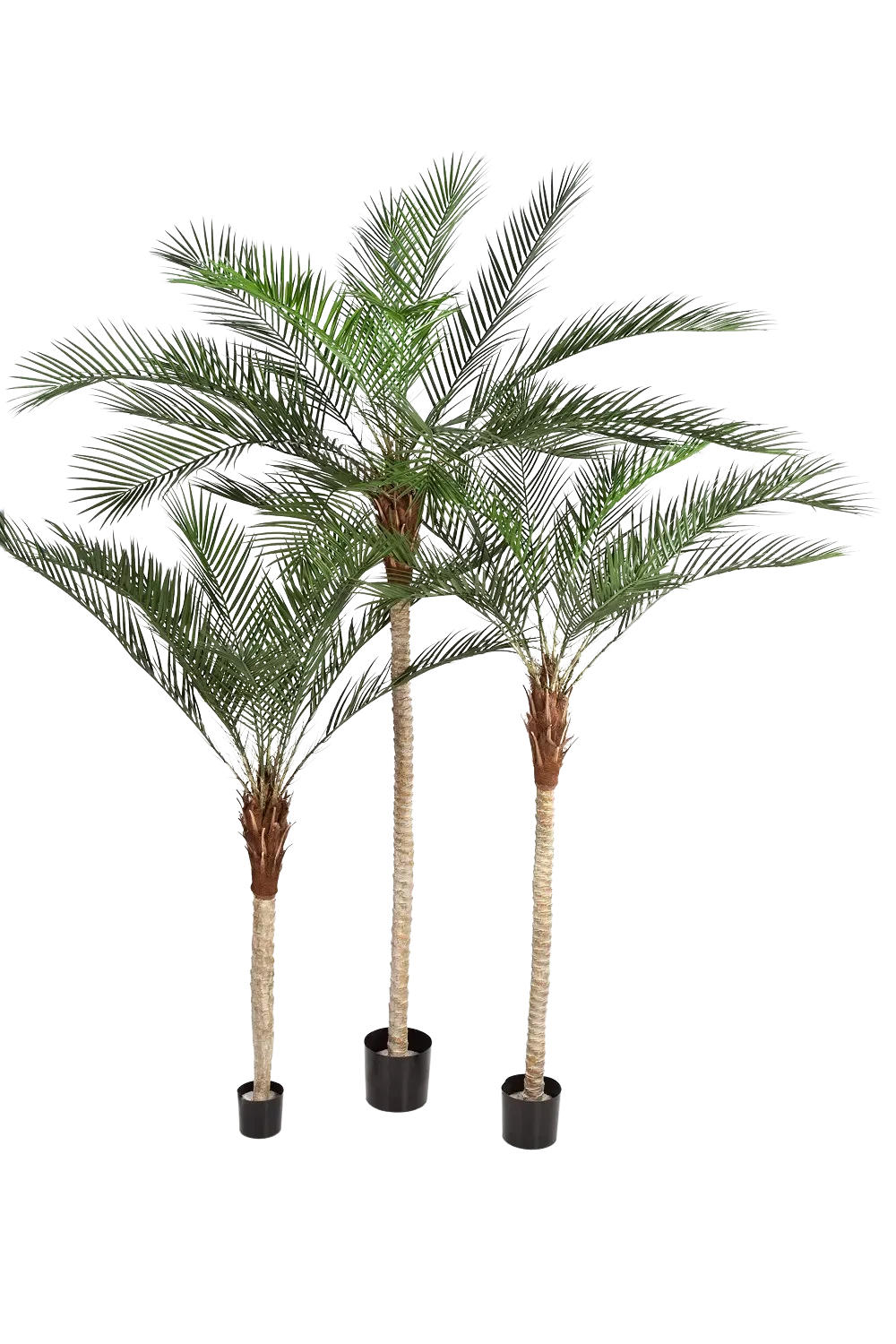 KUNSTBAUM Künstliche Dattelpalme - Kian 240 cm - Grün, Kunststoff (240cm) - aplanta