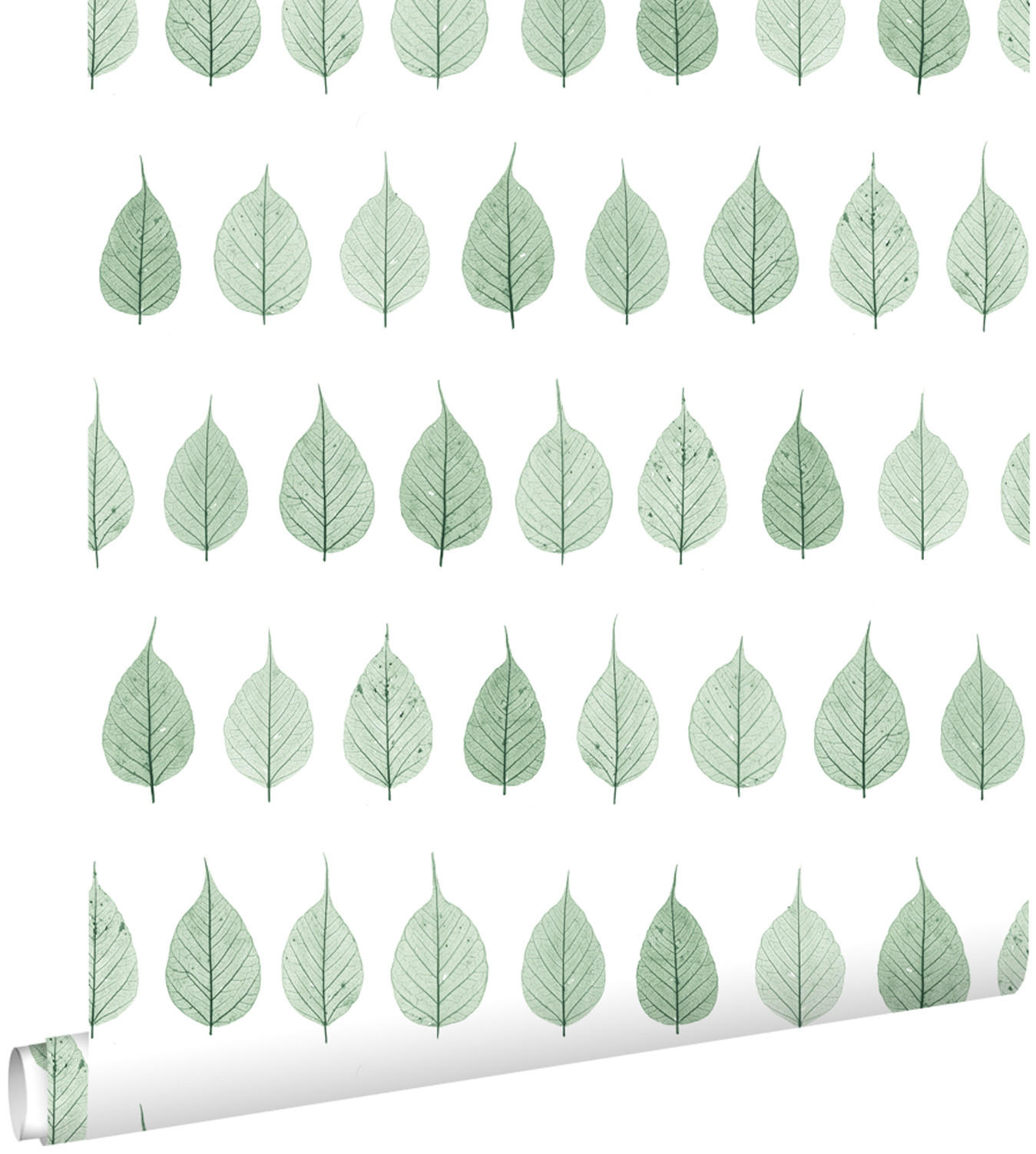 TAPETE Skelettblätter 53 cm x 10.05 m - Weiß, Papier (53/1000cm) - ESTAhome