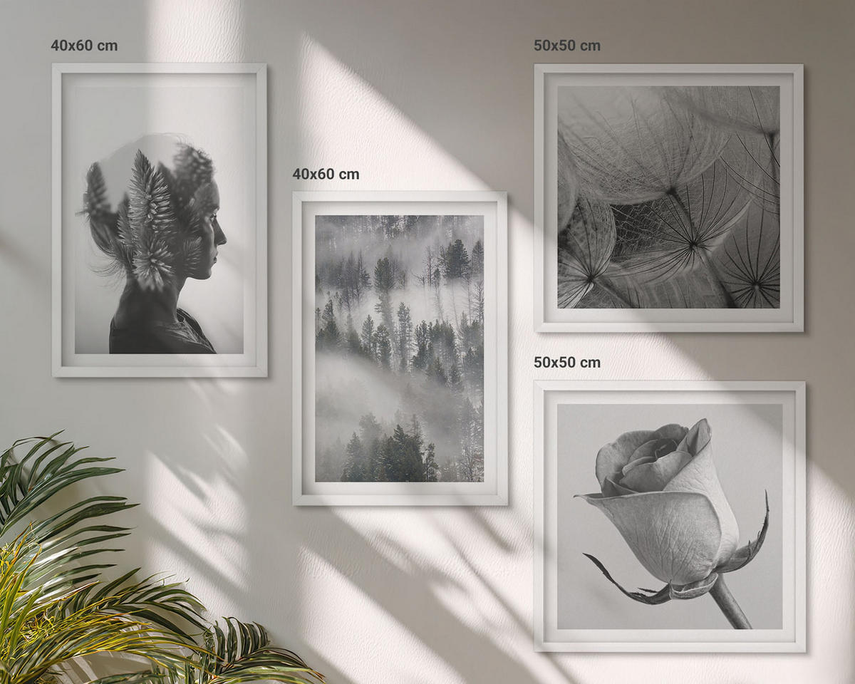 BILDER SET 4er Set - 50x50 cm & 40x60 cm Weißer Rahmen - Waldnebelporträt einer Frau - Weiß, Kunststoff (50/50cm) - TULUP