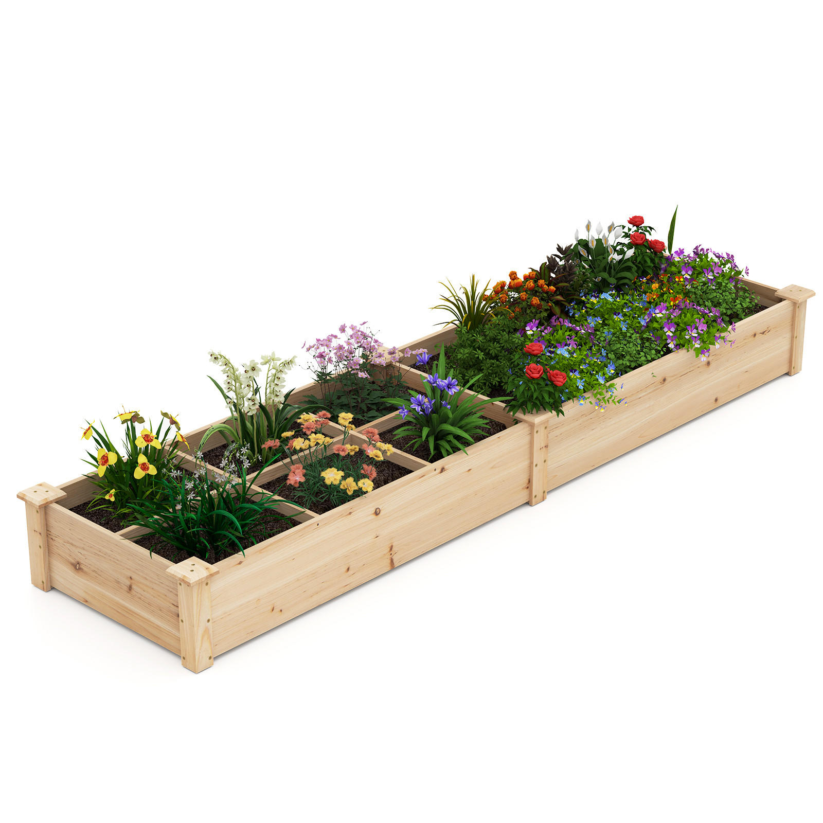 HOCHBEET Natur - Naturfarben, Holz (62/25/228cm) - COSTWAY