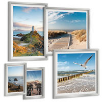 BILDER SET 5er Set - 50x50 cm & 20x30 cm & 40x60 cm Silberner Rahmen - Palmen am Meer, blaues Wasser - Silberfarben, Kunststoff (40/60cm) - TULUP