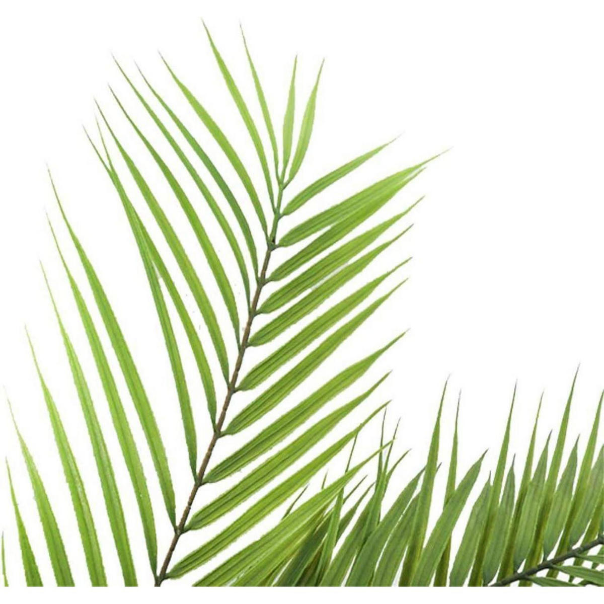 KUNSTPFLANZE Tropische Areca Palme 6 Blätter Grün 75 cm - Grün, Kunststoff (40cm)