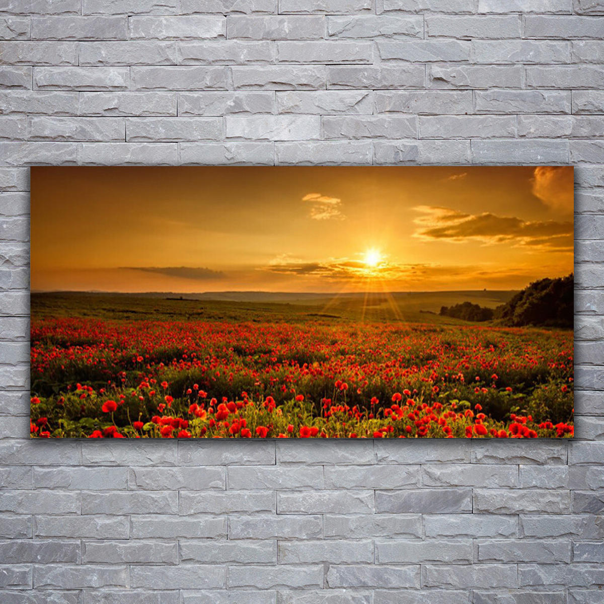 LEINWANDBILD 120x60 cm Mohnfeld - Gelb/Rot, Textil (120/4cm) - TULUP