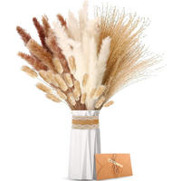 TROCKENBLUME Für Home Hochzeit Esszimmertisch Deko - Multicolor, Naturmaterialien (3cm) - OBOSOE