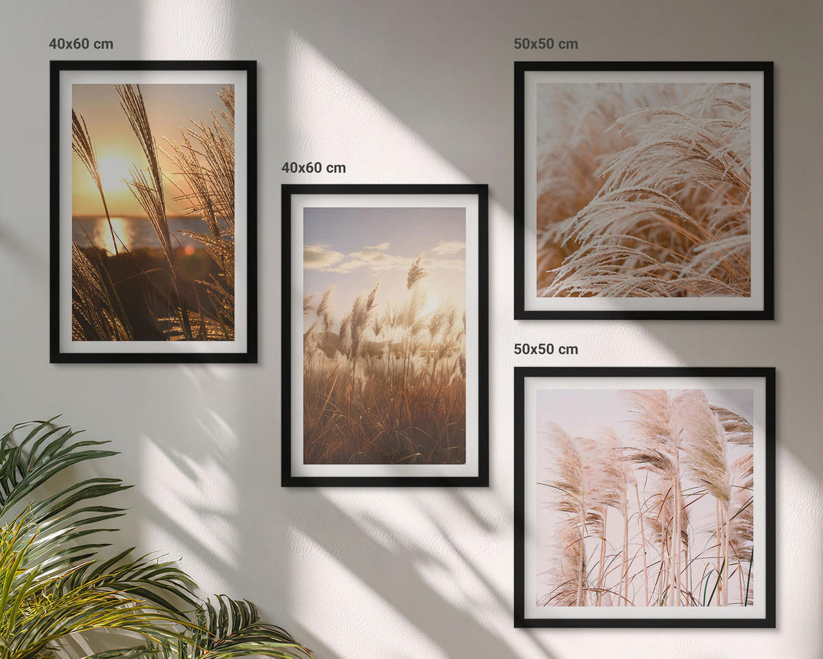 BILDER SET 4er Set - 50x50 cm & 40x60 cm Schwarzer Rahmen - Boho-Grasfeld-Sonnenuntergang - Schwarz, Kunststoff (50/50cm) - TULUP