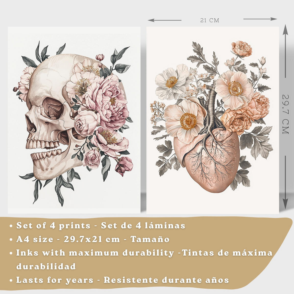 POSTER Set aus 4 Anatomie Mensch Florale Drucke und mit Schädel Herz Lungen und Skelett Botanische Aquarell dekoration Größe Weißer Rahmen A4 - Weiß, Papier (21/29.7/3cm) - Nacnic