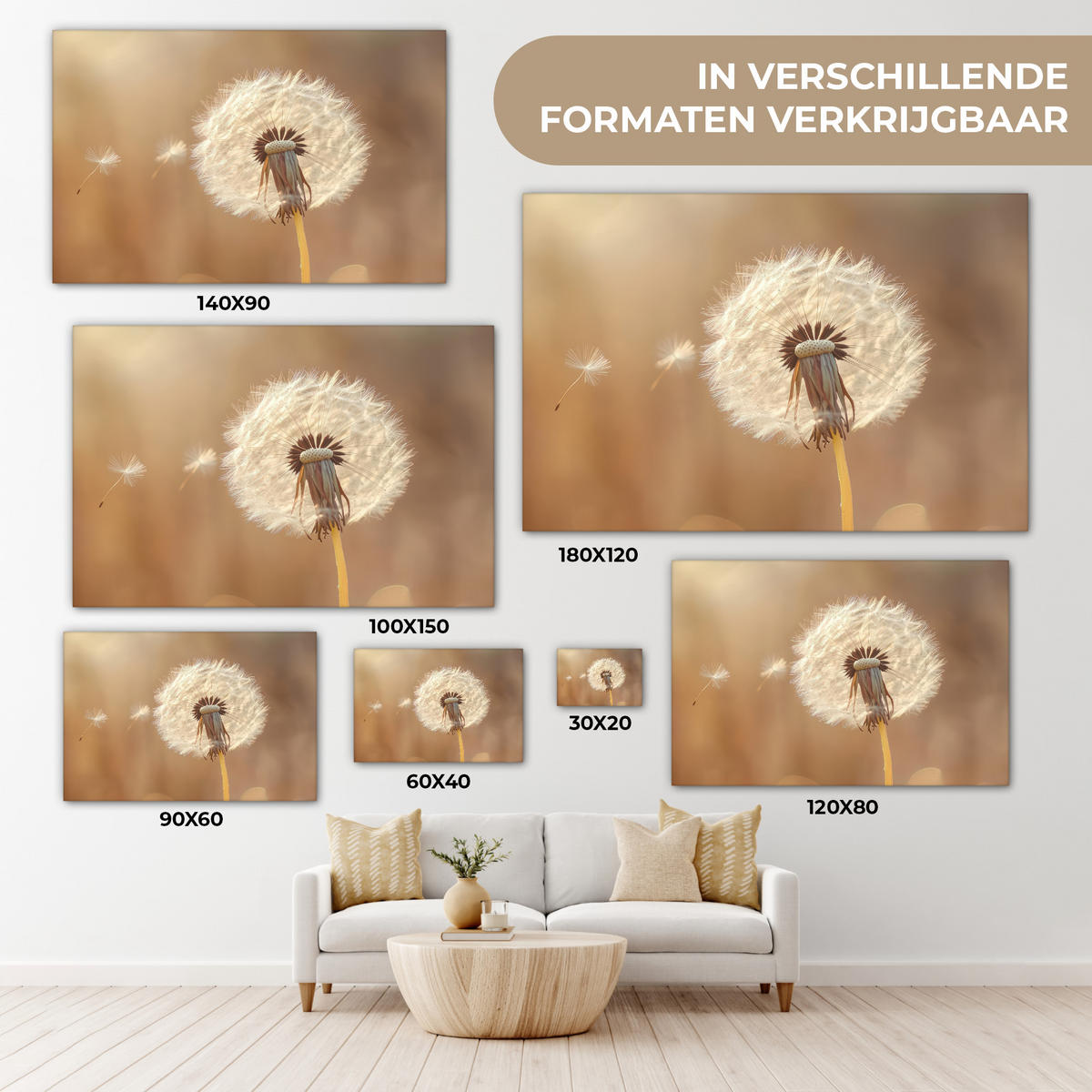 LEINWANDBILD Löwenzahn - Beige - Natur - Blume Deko Schlafzimmer 30x20 cm - Hellbraun, Textil (30/20cm) - MuchoWow
