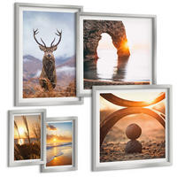 BILDER SET 5er Set - 50x50 cm & 20x30 cm & 40x60 cm Silberner Rahmen - Blätter des Weißen Tigerwasserfalls - Silberfarben, Kunststoff (40/60cm) - TULUP
